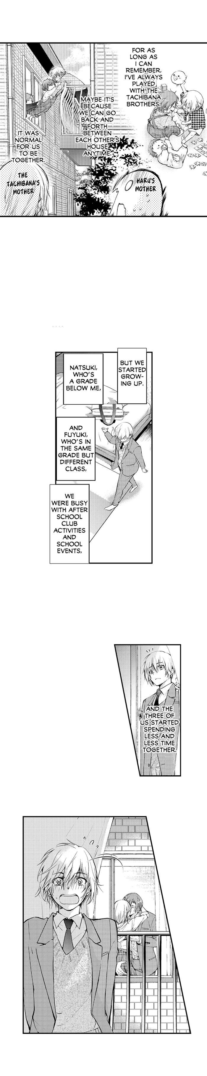 Trick Turned Into a Threesome With the Tachibana Brothers