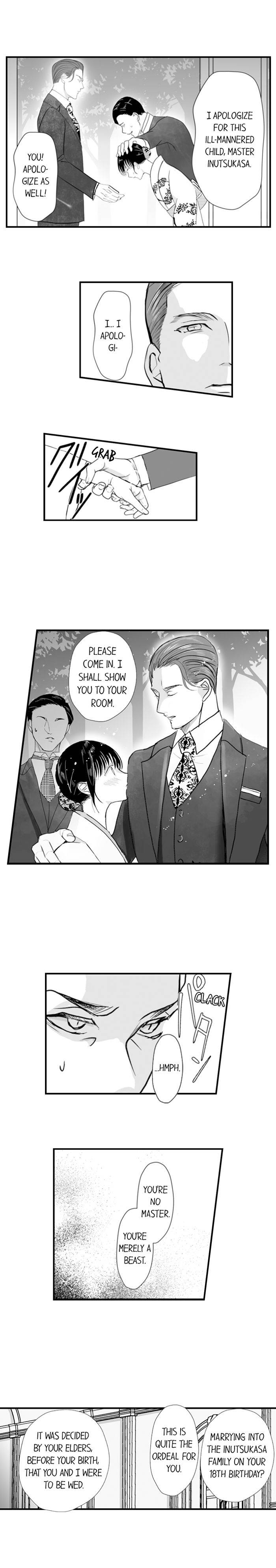 Bride of the Beast ~ My Fated Mate, Bear My Child!