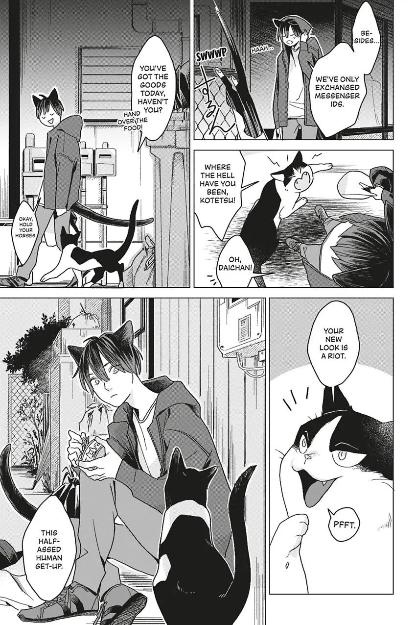 A Lovestruck Cat Wants to Be Petted