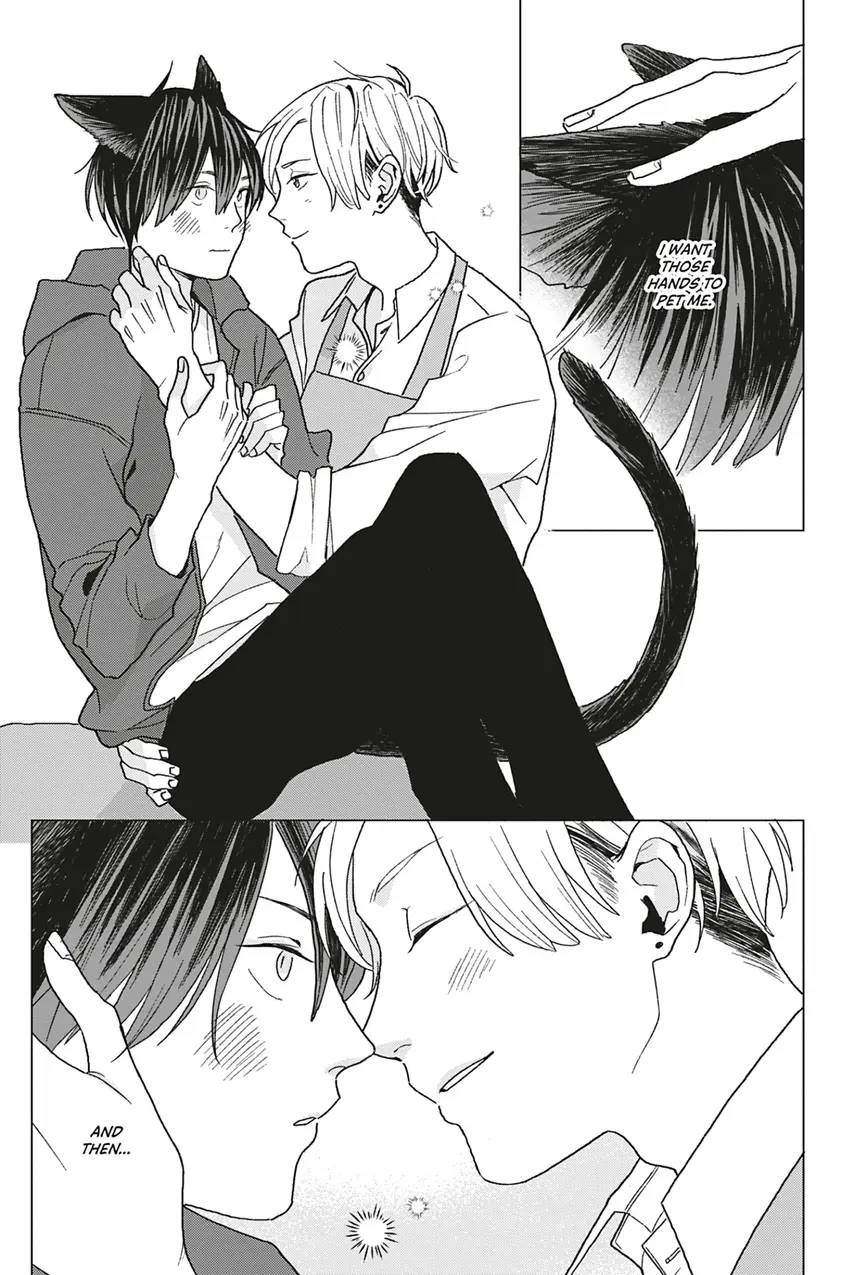 A Lovestruck Cat Wants to Be Petted